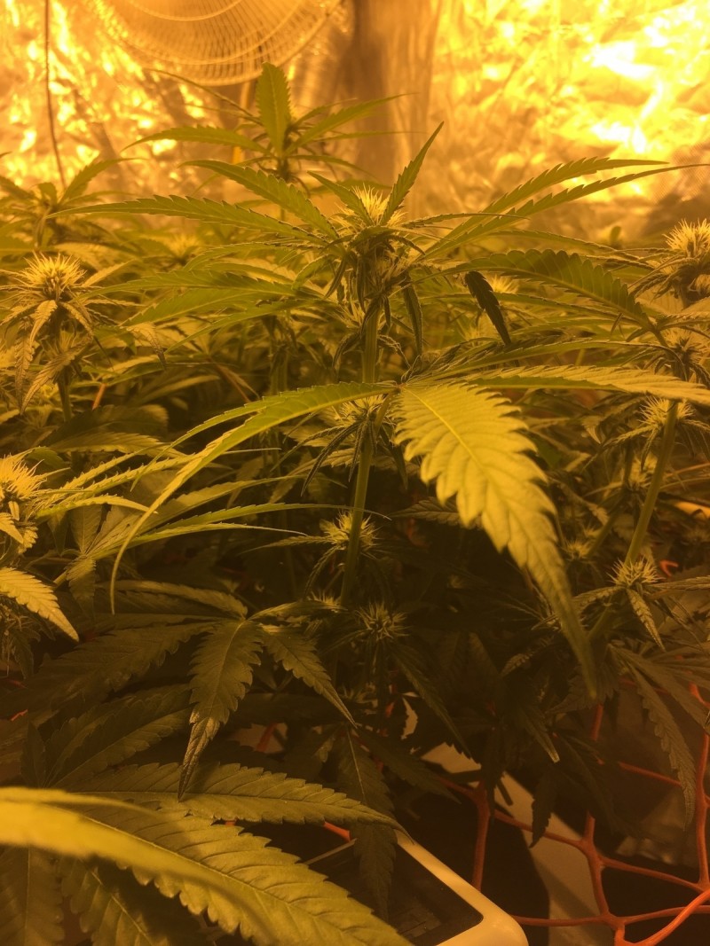 4C6375AD-EC39-40C8-AF22-9069CDDEBD23