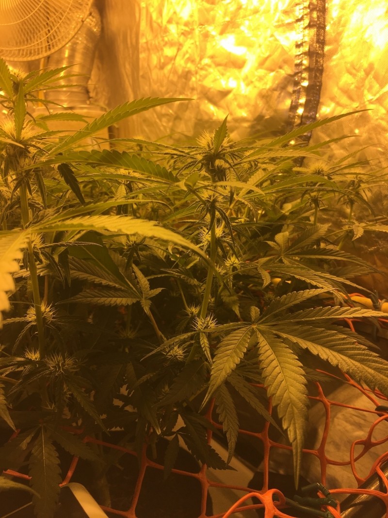 64170027-9295-49AA-95EF-F2E5A2878FA5