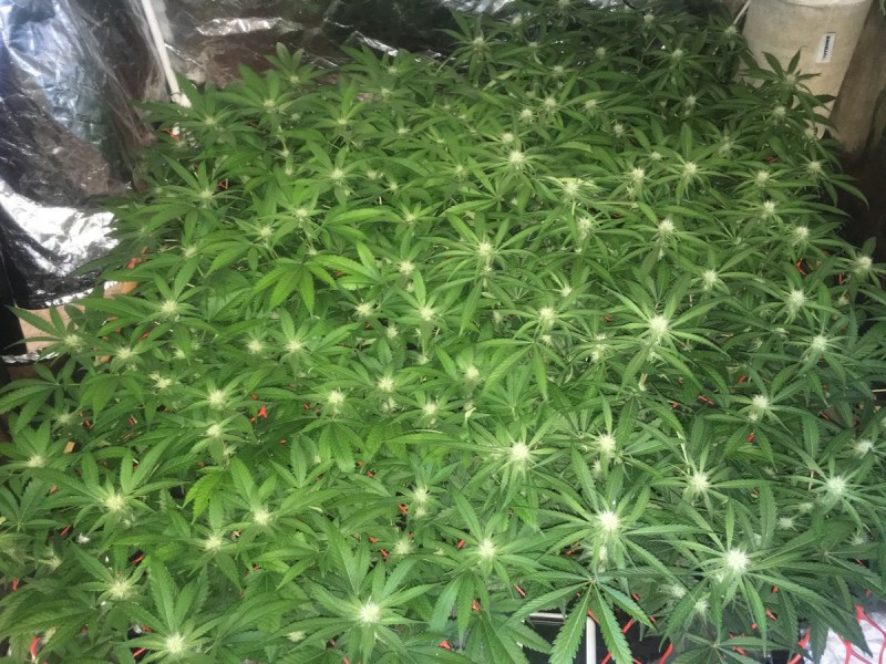 B64E4EFA-68E3-4393-942E-CE7897396359