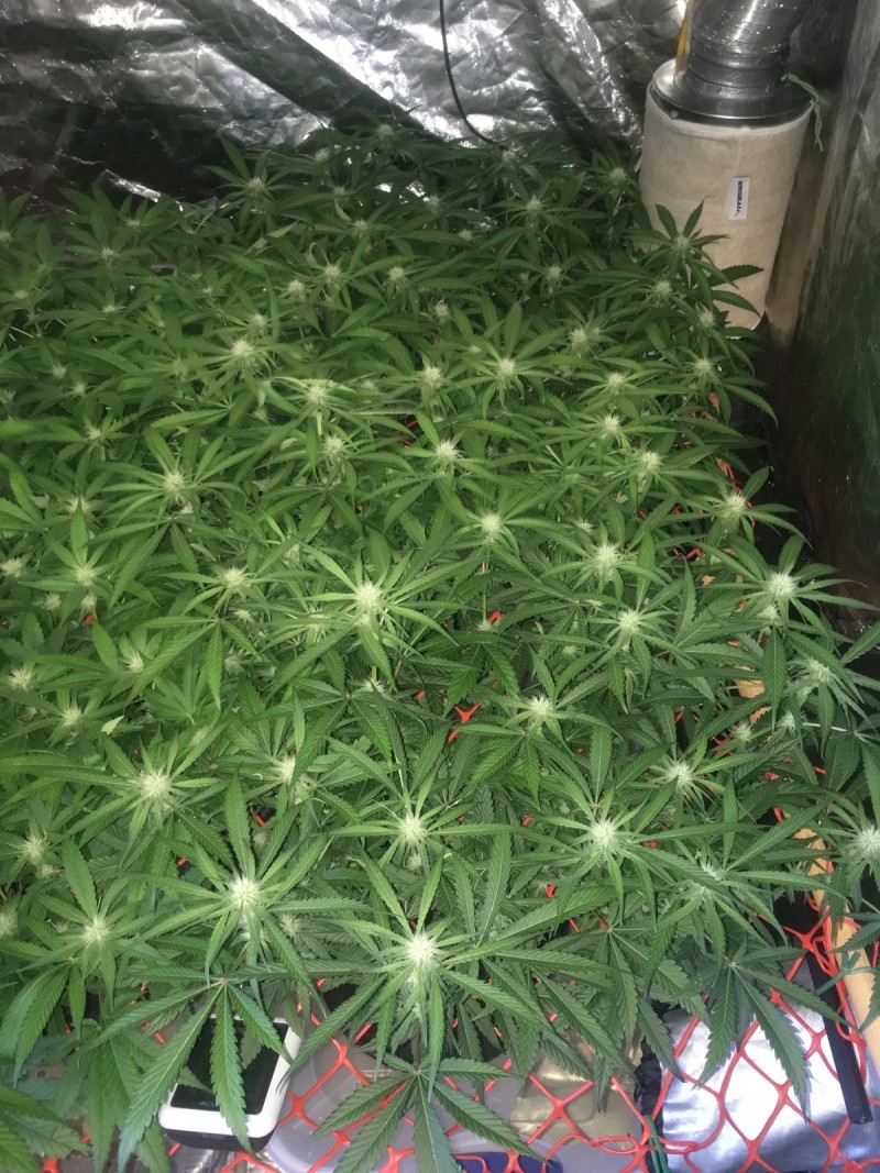 DC7FE86F-333C-469E-B7AF-757CBFE170D6