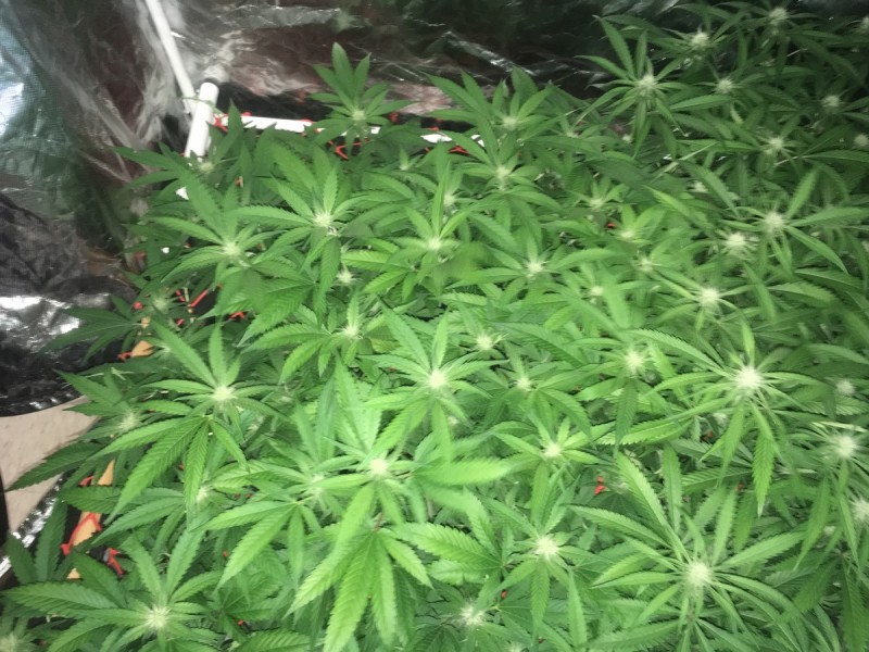 213806D5-5036-4CF8-9F94-E156AC90DCC8