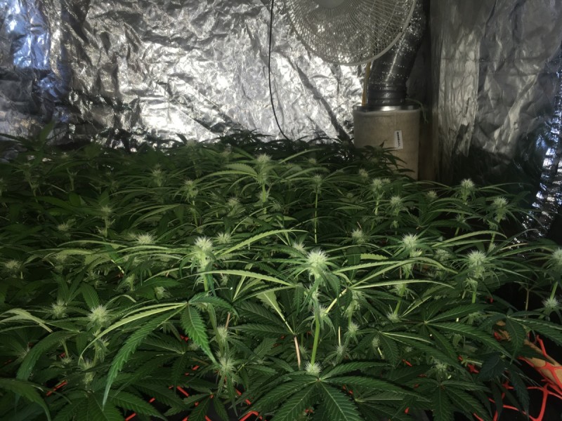 1C74CB6D-9096-4E22-A38E-0389EC047C3C