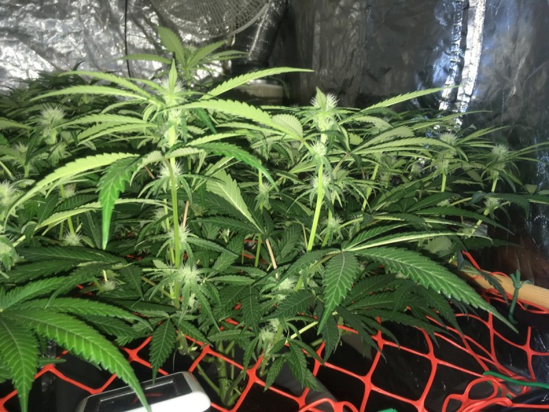 1C2DE61F-5716-426D-ABD8-B03BF4F85A15