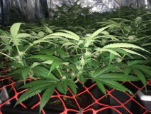 39B52D0F-7B9A-4027-BAC9-EEFB46A235C6