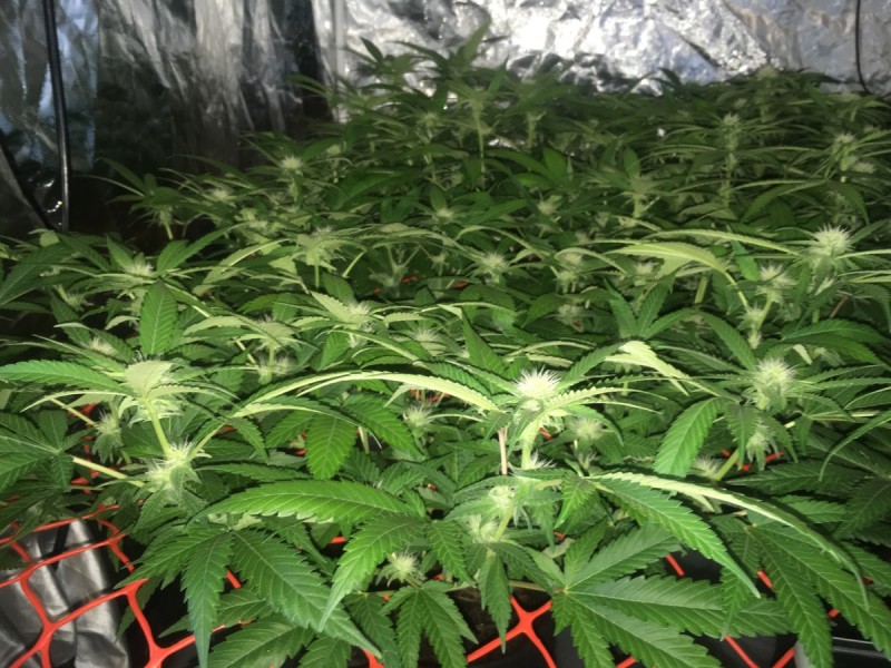 05941B62-C739-4997-BE13-93F0195B586E