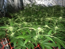 05941B62-C739-4997-BE13-93F0195B586E