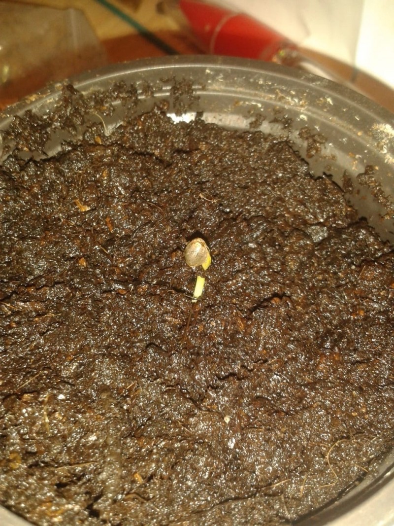 b34e1043830a0f3b4f88f664f4ed4fe4