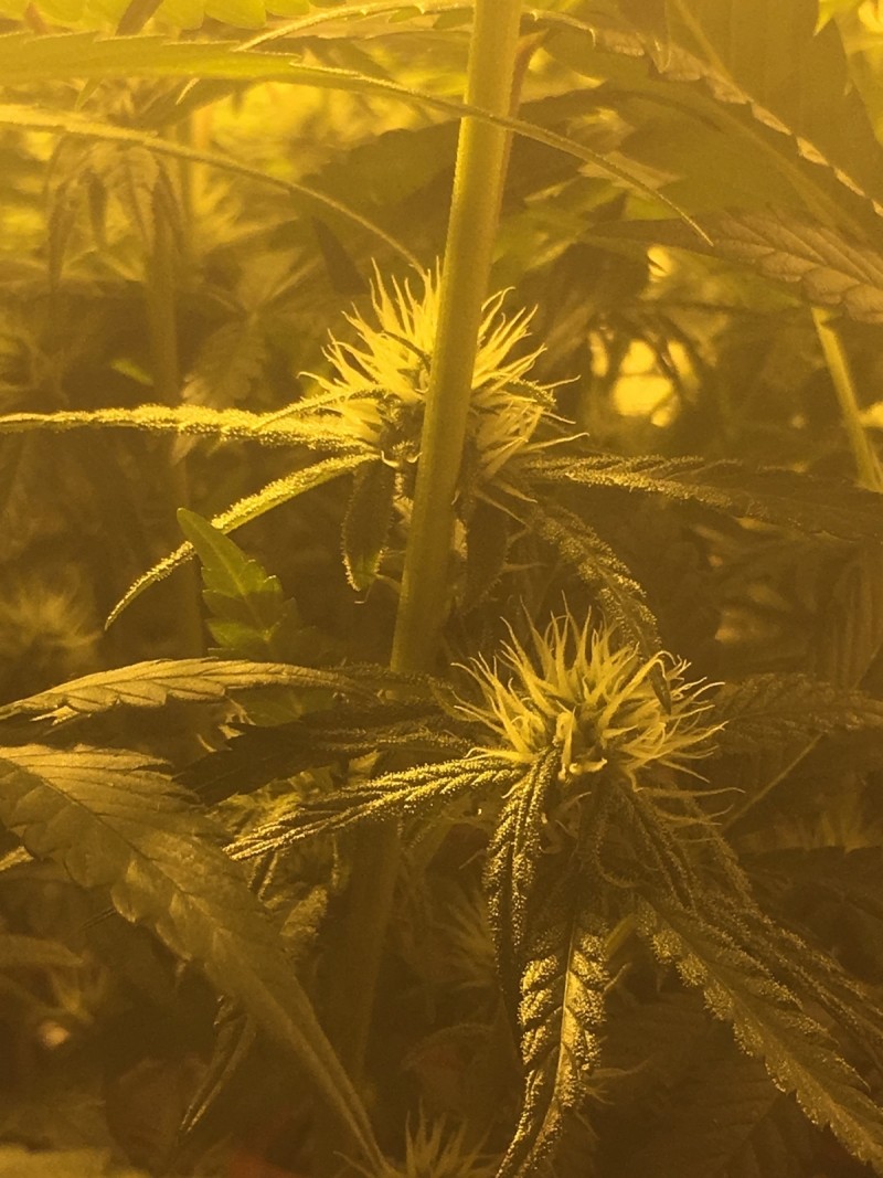 66172015-0844-4F9C-AA4E-72159DE1CA34