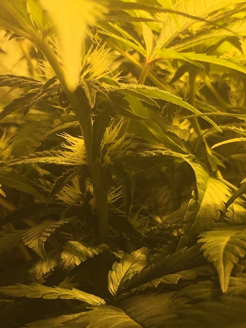 5DAD4F56-91AE-4AFA-8A27-1E21A73EF9DB