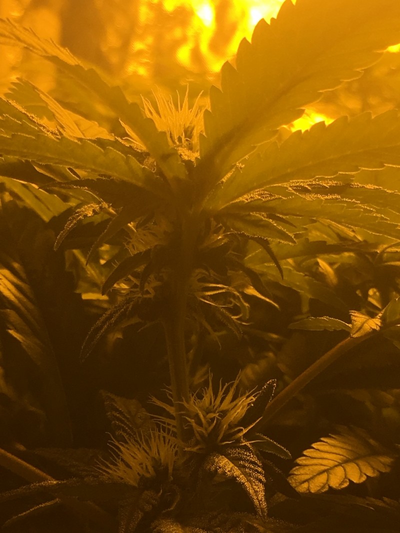 BD73E25D-1012-4921-8E01-AE1CDEBD215F