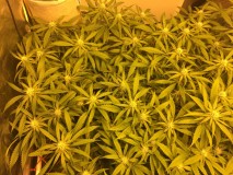 1EF20EE9-A610-4508-9536-DB961E2AE204