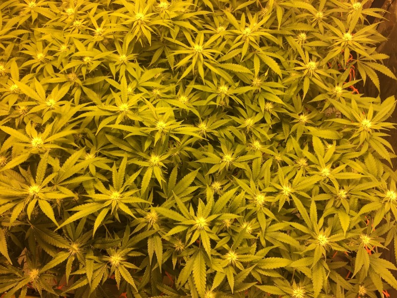 BAC500A3-CA7B-484B-A860-71A69EB87A81