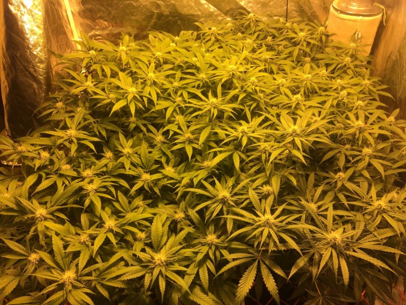 135DDD7B-C63C-44F6-889E-353F689E1399