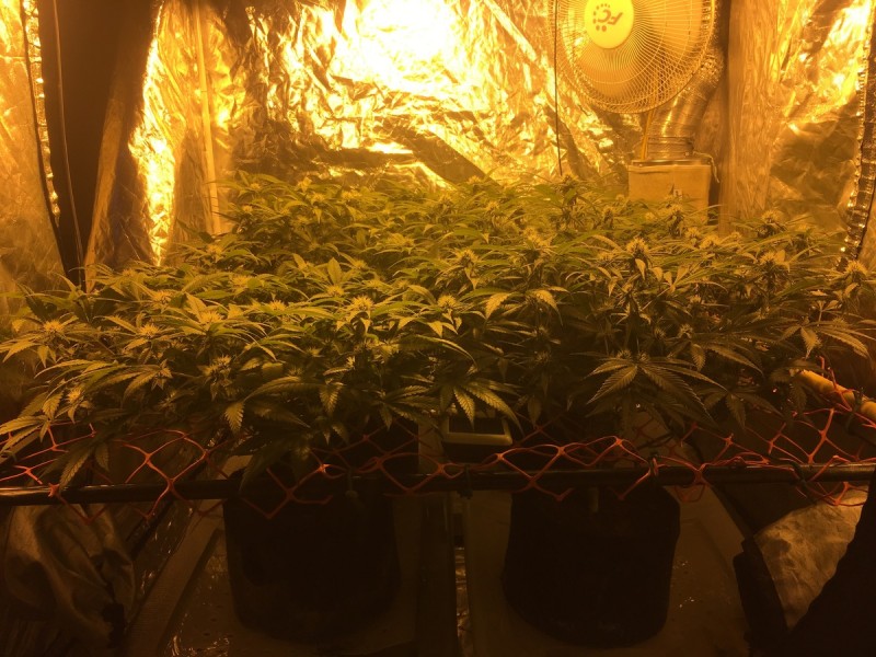 2B1FBF66-05FE-4442-B31C-2AC7ECB6FC8E