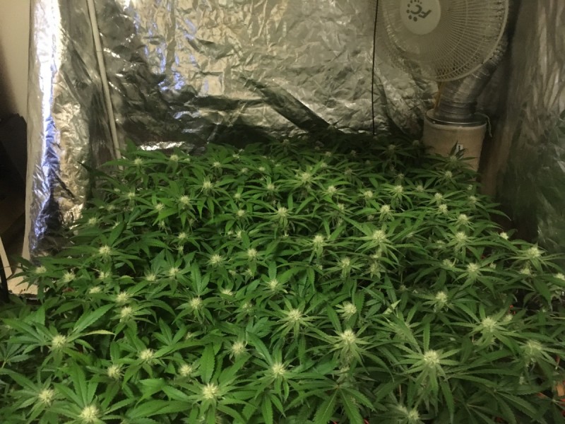 A5A95F9D-5C78-440F-A989-F4A2A3A6914A