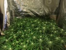 A5A95F9D-5C78-440F-A989-F4A2A3A6914A