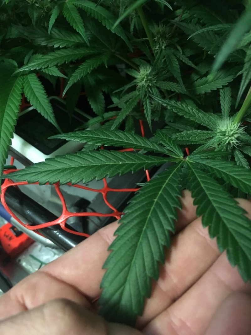 38E3C967-313D-40E9-8A67-489873D9CEFE