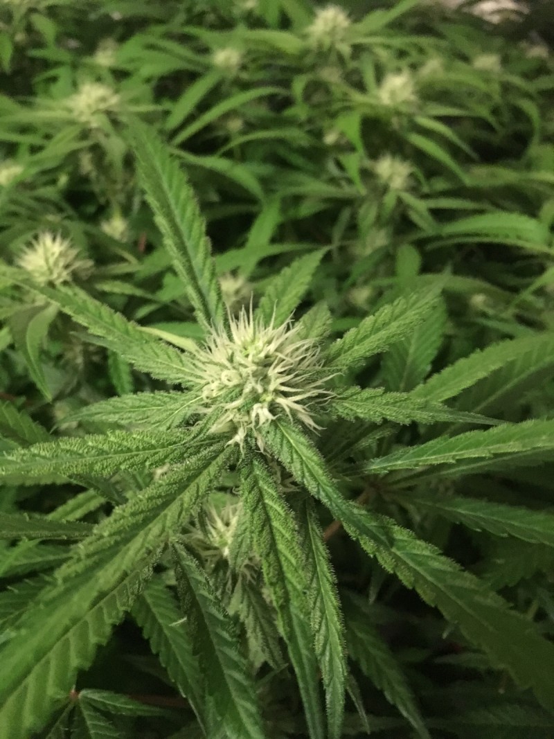 A5FD2389-0EAB-4141-BEE3-FFF883F49FB5