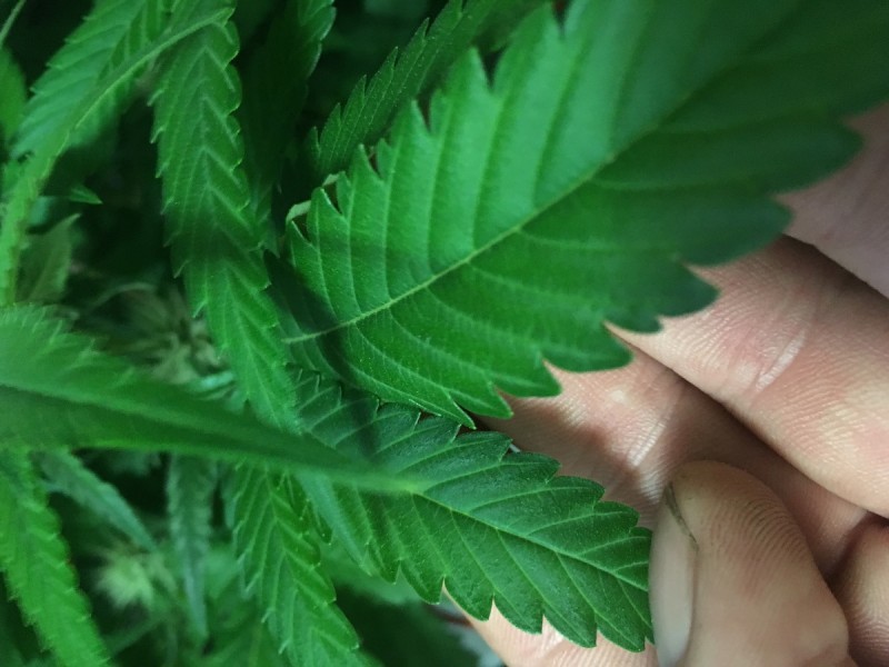 9EF11D46-1D07-41B0-9C7C-FAAEAABB4B62