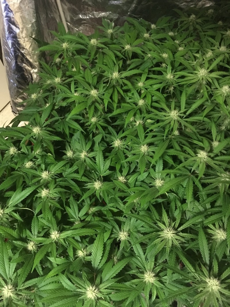 88359B8D-7513-4588-A9AB-12DE3BE1D6F7