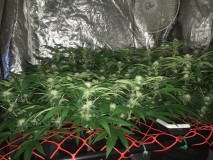 85AA0804-8F77-47FB-9D16-C5B1928BE45D