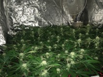 25B26514-F36C-4A53-911F-2CA5EB2926A5