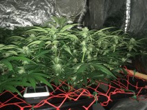 7E342AAA-AD12-4FFD-A9A3-122A0FD0B8F8