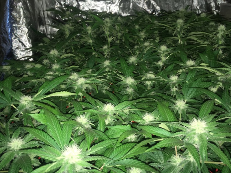 CA14864C-BC22-41AB-951D-FC4A1F544CFB