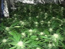 CA14864C-BC22-41AB-951D-FC4A1F544CFB