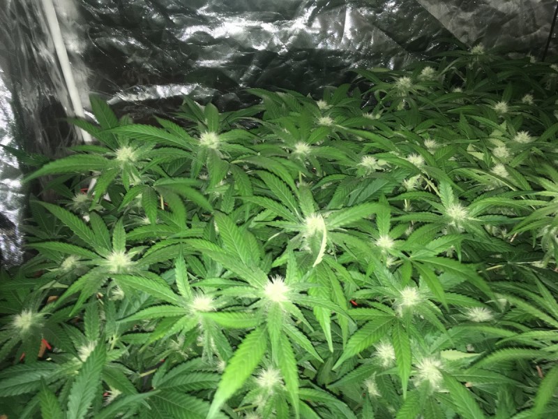 EB768945-CB7B-423D-B0D7-1E385DF7BF72