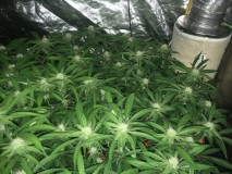 DB1070ED-515B-4A1D-A903-5EBF7482F131