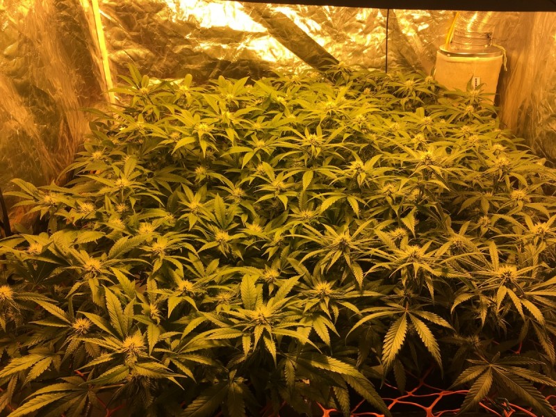 C3D435ED-2BA5-483D-8B9F-1C071960F2D5