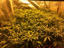 C3D435ED-2BA5-483D-8B9F-1C071960F2D5