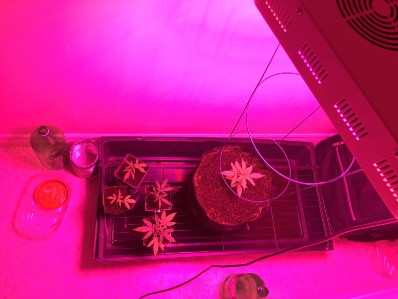 74D34D48-45AE-420F-9705-4007923FE04A