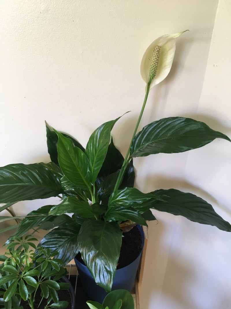 99CDBDFC-DA52-41E4-AA65-4569998E7F0C