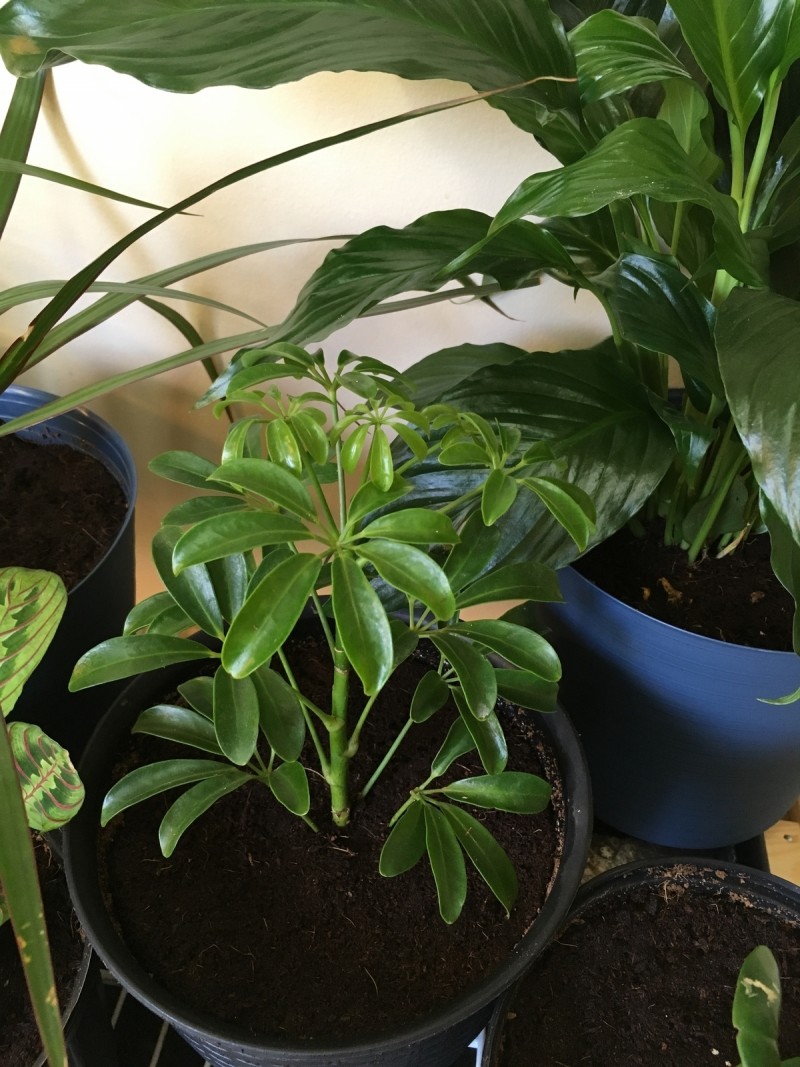 C3C76CD4-48D4-49AD-A17A-E34F101D1362