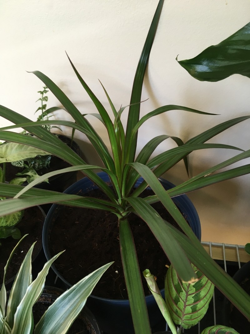 32A317DD-91F3-4DFA-8642-317D7A079FEC