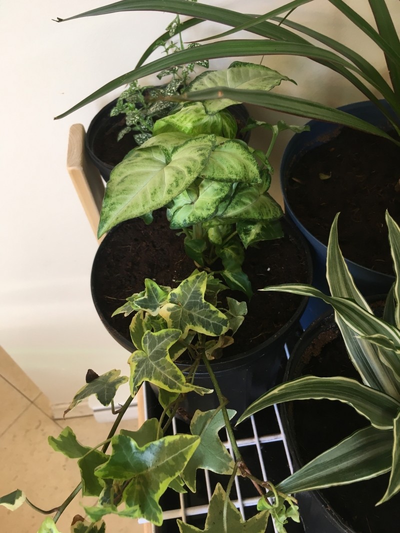 4F0F3ADD-5525-4A02-86FB-CB4412A1D46F