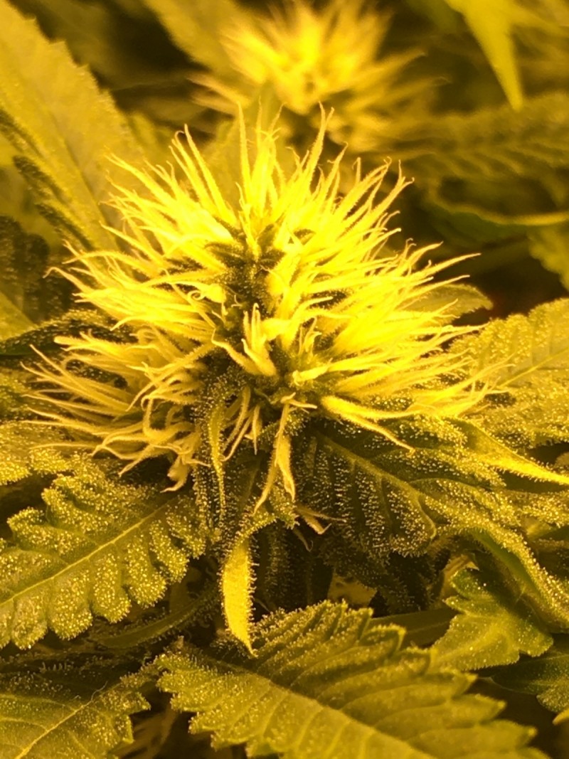 E2BD3415-3DC6-4263-BDCA-1B53B68DBE3E