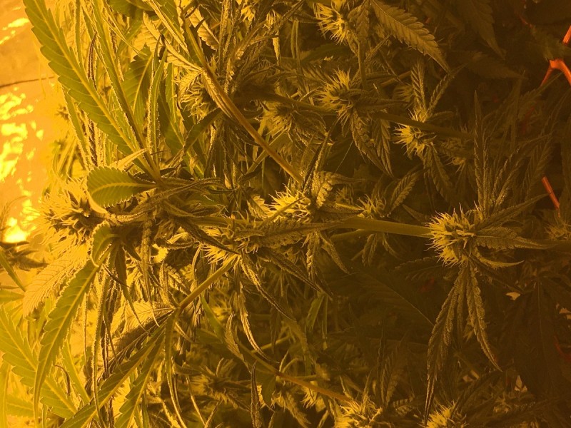 7CA32596-C604-456E-A7DF-4AFCF0D5F391