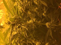 7CA32596-C604-456E-A7DF-4AFCF0D5F391