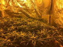 AAFAAD19-0F5E-4395-9B48-7178F3A17201