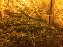 E0B64817-0636-4E13-B544-654DABD0D7C0