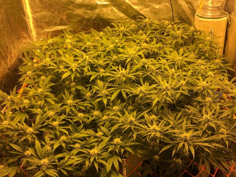 72F62502-6B6F-403E-A2B1-0EF2B806F597