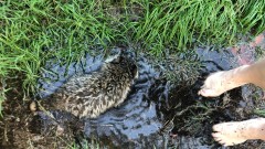 3D2B3CCF-8B77-41EB-9D3B-B0F350549641