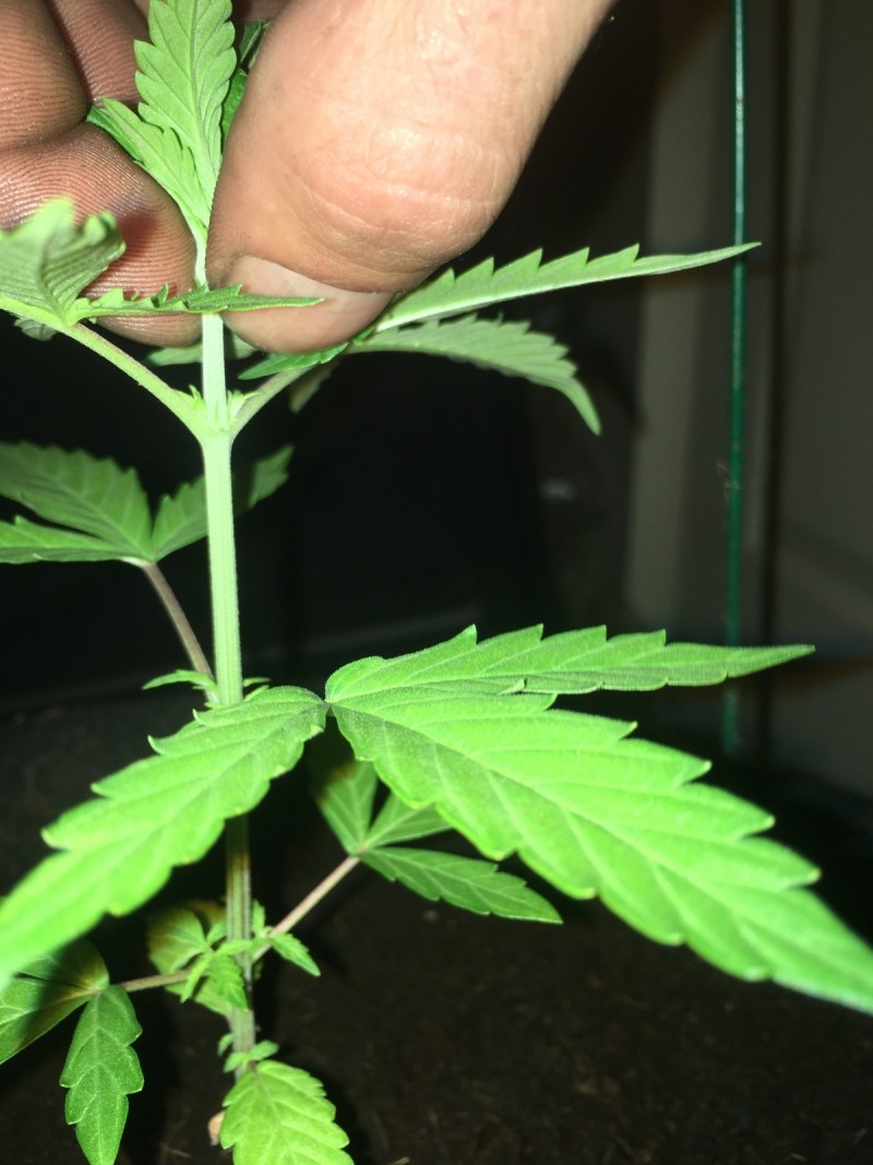 957398A9-4F3A-4D3D-A524-7A883686906F