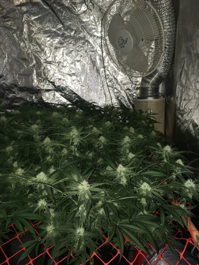 CDFB998B-9F09-4E3B-B27B-7B864F02442F