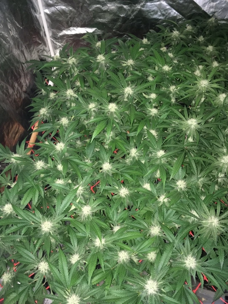 B7E4D97C-3F30-43CD-B198-CDE6A10D1B1B