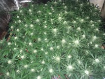 FEFA3C9E-71F1-46D3-88B6-469654931501