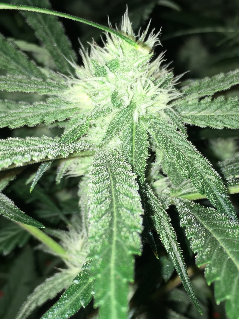 839FB34E-1044-491B-9BA7-1F7B95D32BAE